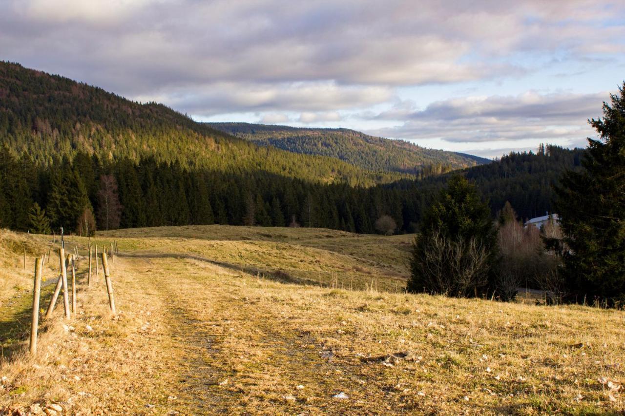 Gemuetliche Ferienwohnung - Mitten Im Schwarzwald Bernau im Schwarzwald Buitenkant foto