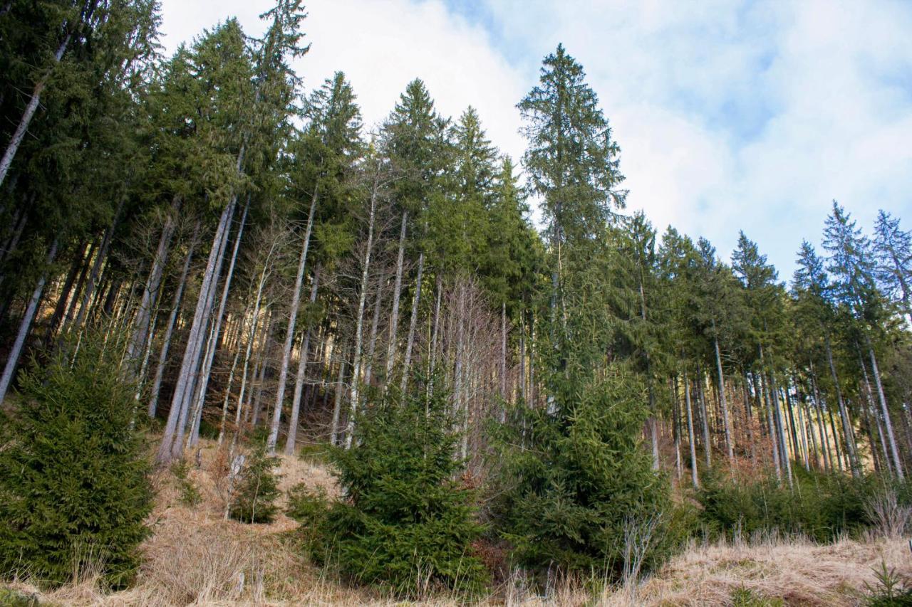 Gemuetliche Ferienwohnung - Mitten Im Schwarzwald Bernau im Schwarzwald Buitenkant foto